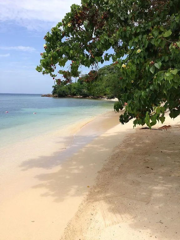 Little Bay Townhomes - Villa Nirvana Negril Holiday home